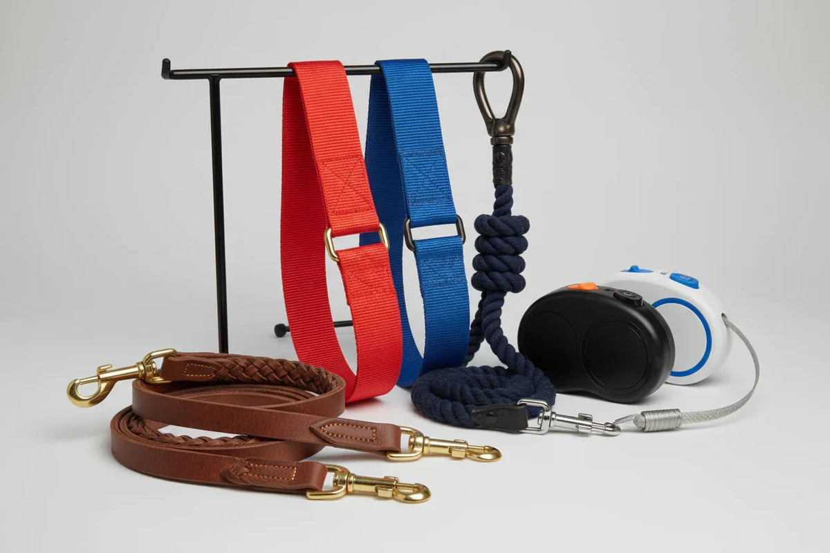 Variety of dog leashes including leather, red and blue nylon, navy rope, and two retractable leashes on display