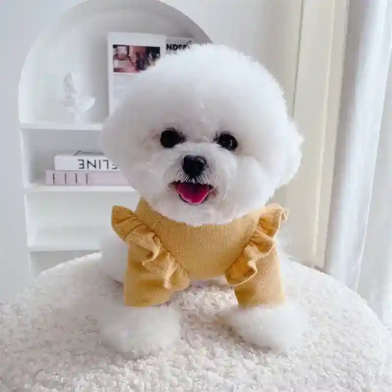 Maglia per Cane Happiness Stile Principessa - Blu Rosa Giallo by Dog Moda