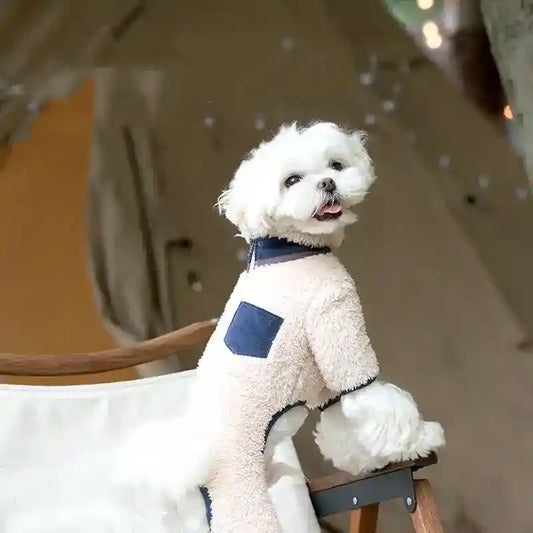 Pigiama Cane Pile Parfum 4 Zampe con Zip - Tutina Cane by Dog Moda