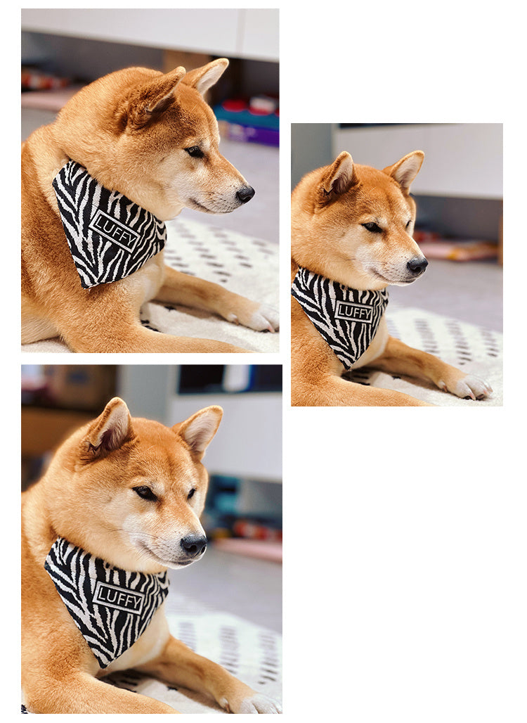 Bandana Personalizzata per Cani con Nome Fantasia Zebrata