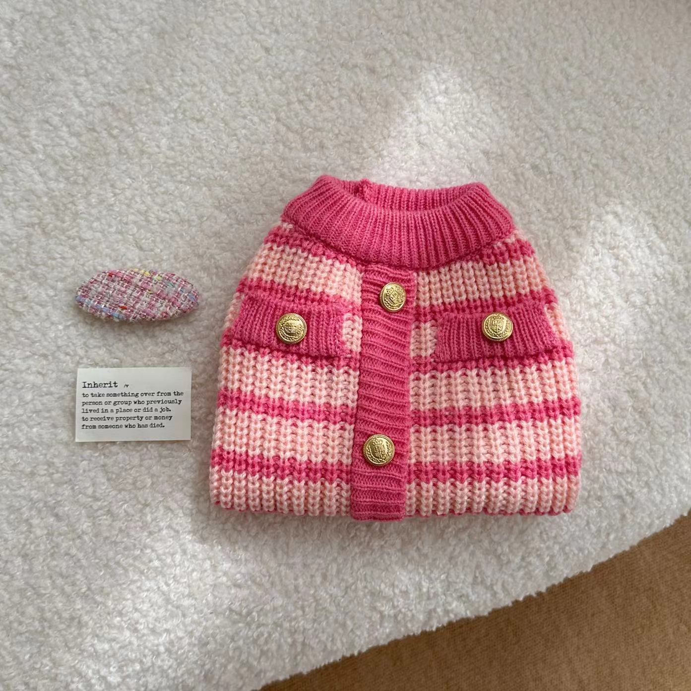 Pink Striped Dog Sweater with Gold Buttons