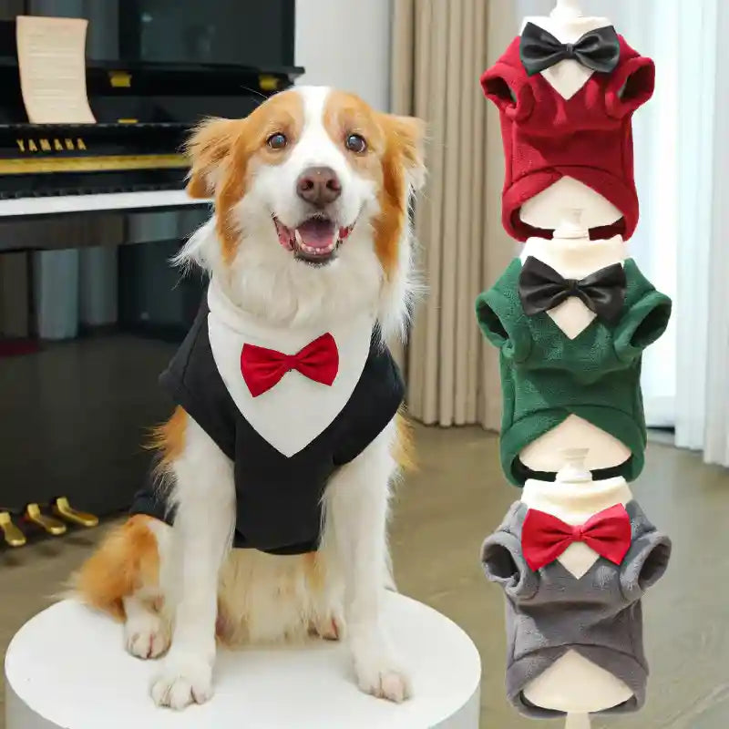 Maglia Cani Elegante Papillon Pile Nero Rosso Verde by Dog Moda