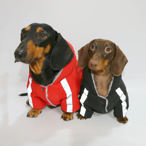 Cappotto per Bassotto “Running” con Cappuccio e Pile by Dog Moda