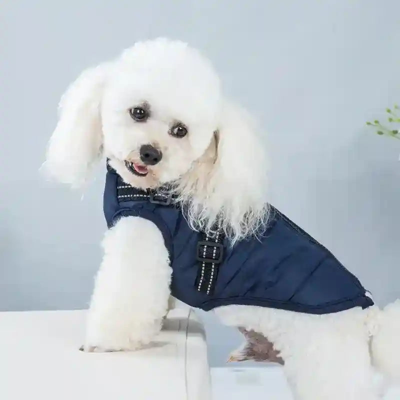 Abrigo Impermeable para Perro Deportivo - Chaleco Acolchado de Invierno
