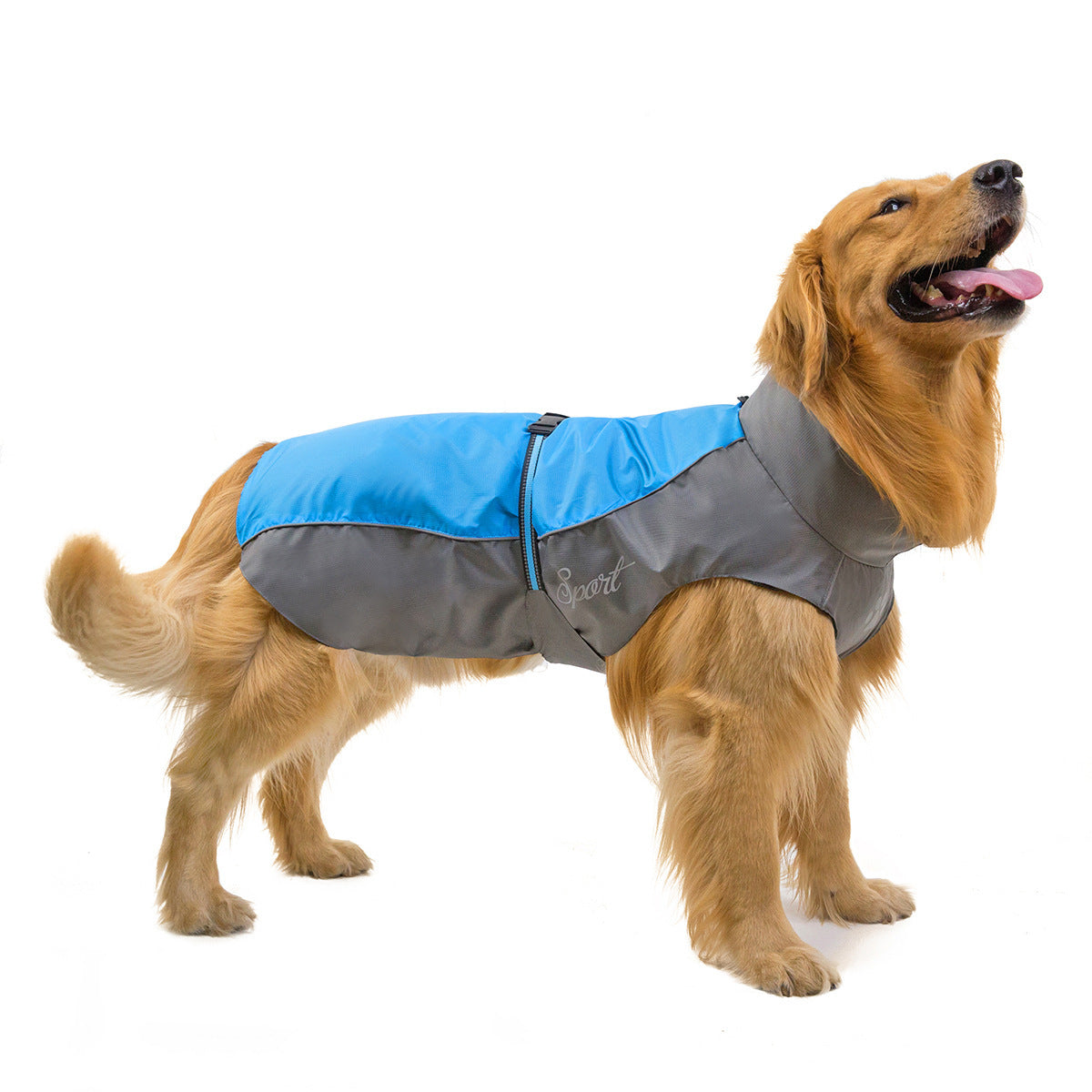 Raincoat for large dogs "Kalm Husky" with safe closure