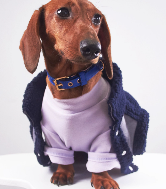 Cappotto Cani Bassotto Waffle Pile Lungo Smanicato