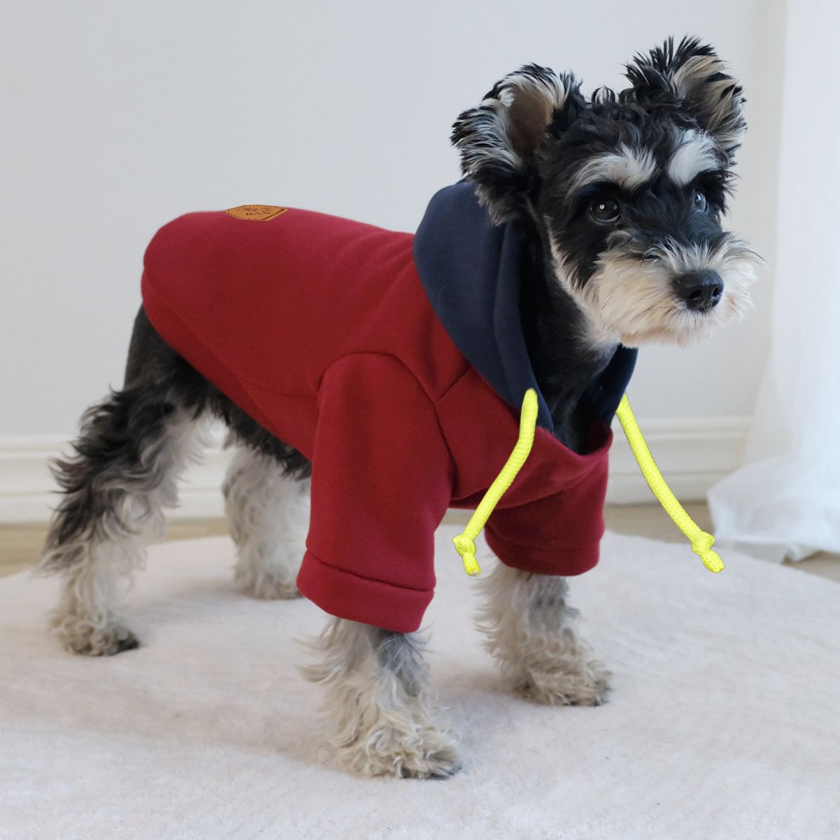 Felpa per Cani Bicolor con Cappuccio e Coulisse