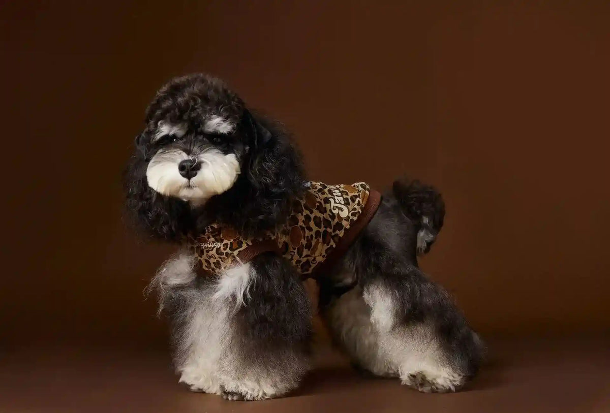 Maglia Tawney Bear Leopardata con Cappuccio - Smanicata by Dog Moda