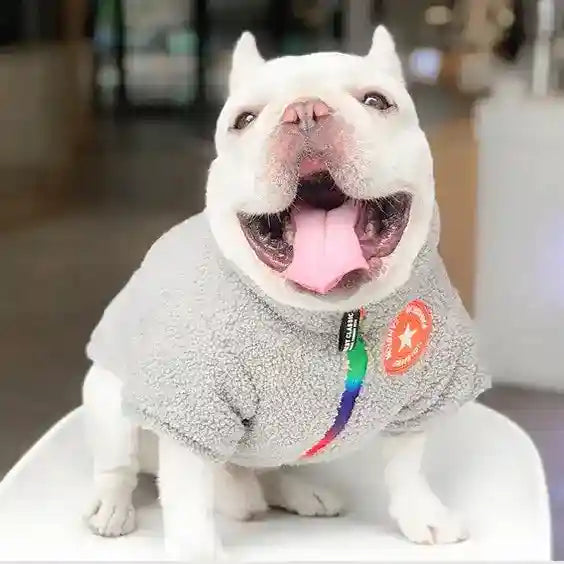 Abrigo Fashion Bulldog Lana Teddy - Estilo Inglés