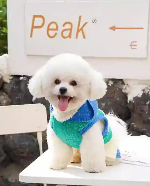 ピークスフード付き犬用セーター - 暖かいブルーストライプ