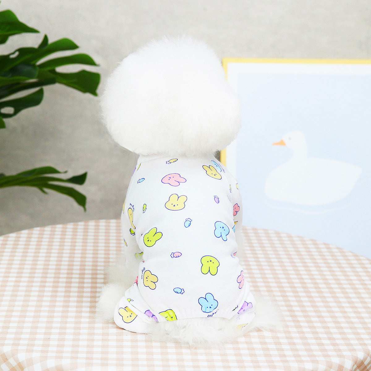 Malteser Hundepyjama „Honey“ – Komfort und Style für Vierbeiner 