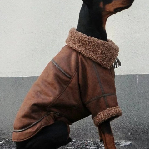 Giacca Jeans per Cani con Collo in Pile - Caldo e Stiloso