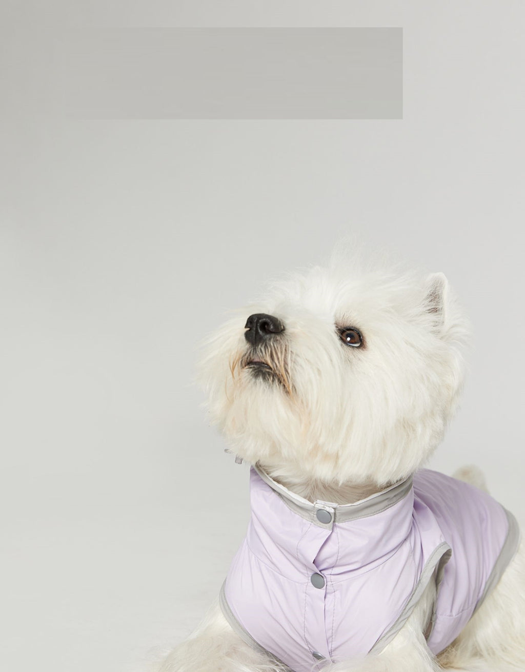Impermeabile Smanicato per Cani Easy - Antipioggia e Antivento