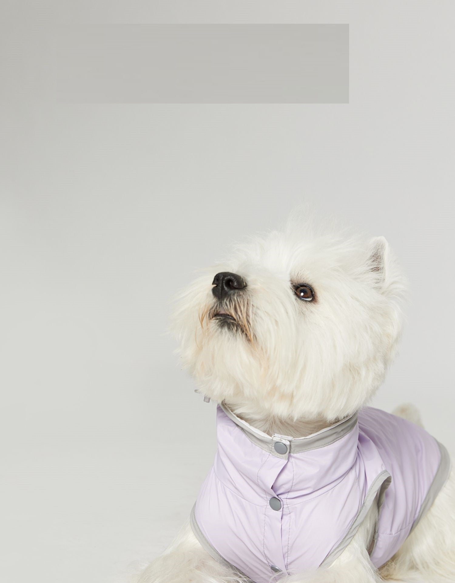 Impermeabile Smanicato per Cani Easy - Antipioggia e Antivento