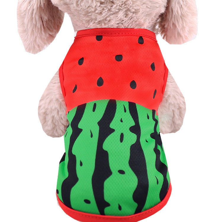 "Little Teddy" Sleeveless Dog Shirt