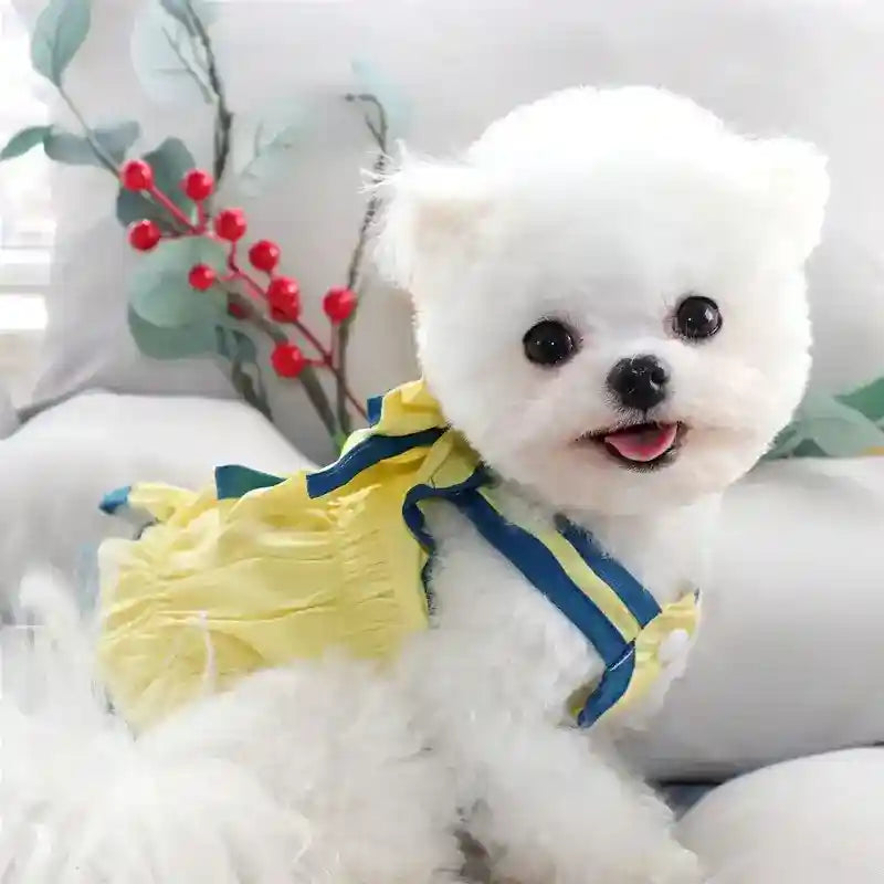 Vestito Elegante per Cani Smanicato con Fiocco | Dogmoda by Dog Moda