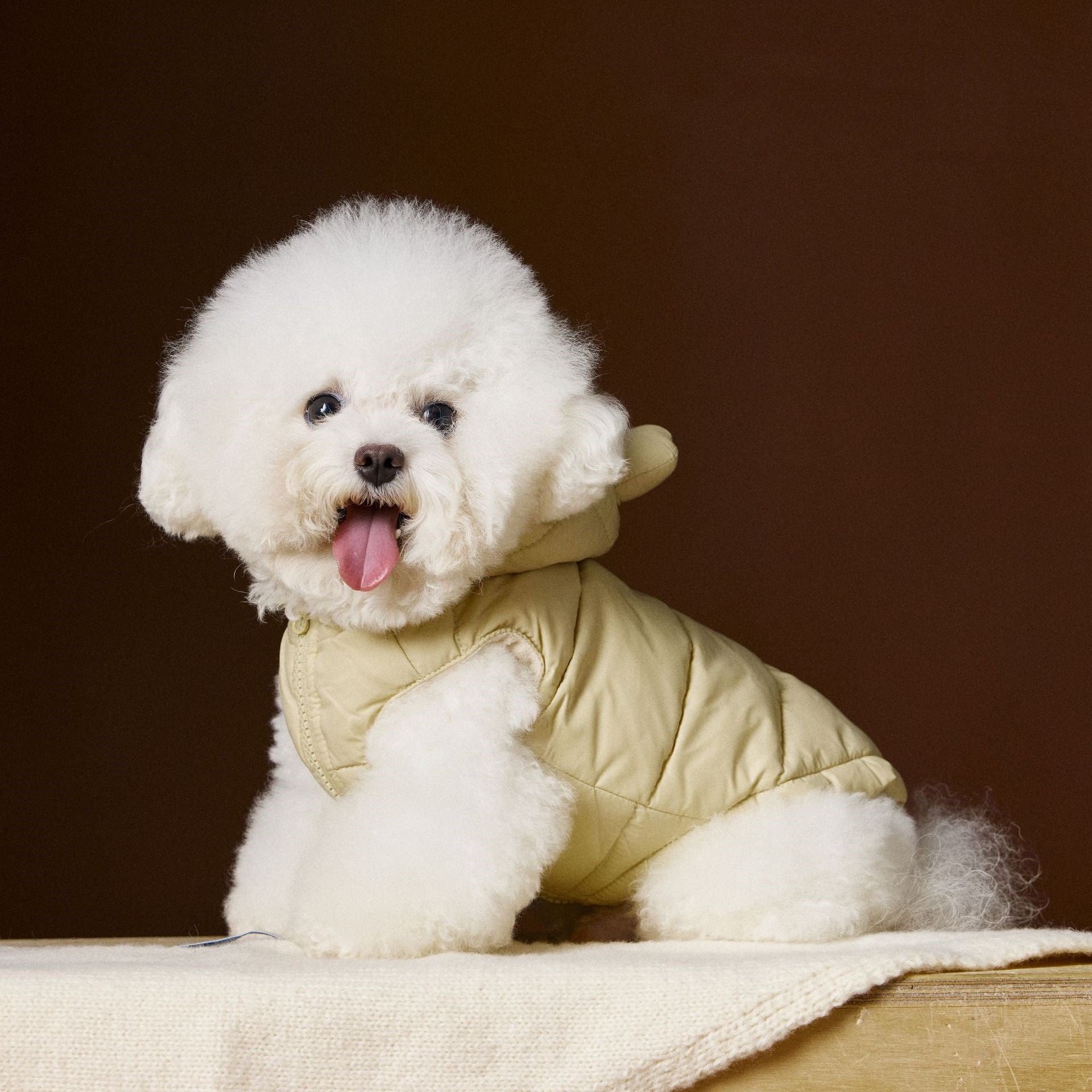 Sterling Waterproof Dog Coat with Hood