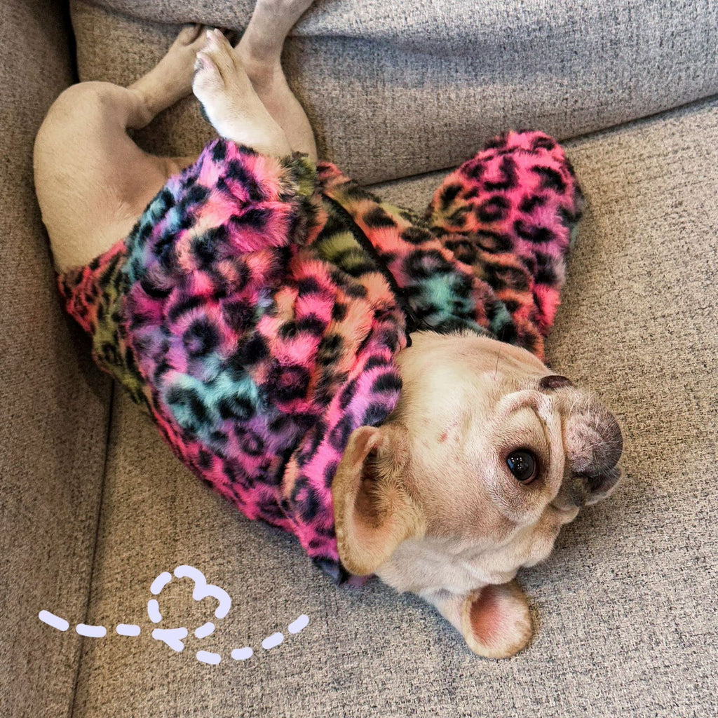 Multicolor Leopard Dog Coat - Velvet Abdomen Zip
