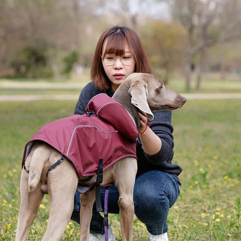 Impermeabile "Portland" per Weimaraner: comfort e protezione per le giornate piovose