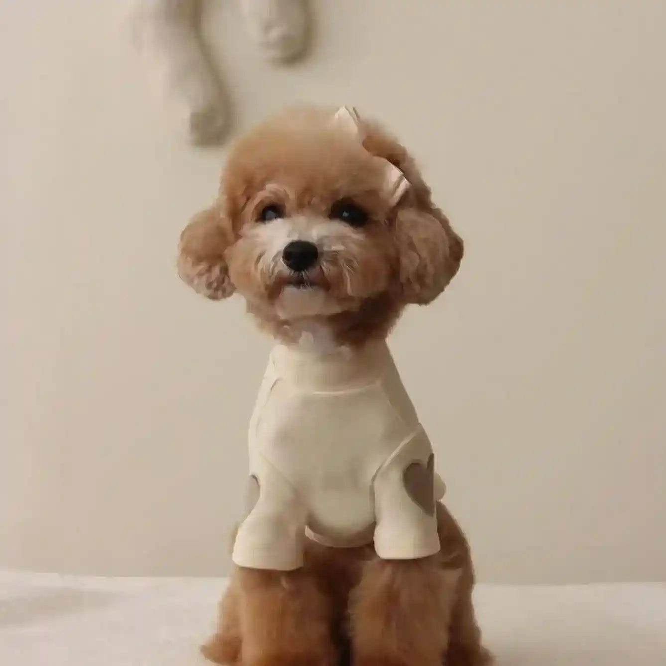 dog dress winter Parisian Pet Winter Bows Pink Dog Dress