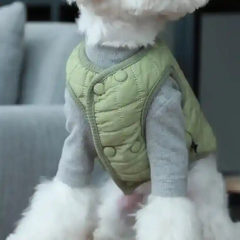Maglia Cani Barboncino - Gilet Coordinato Elasticizzato by Dog Moda