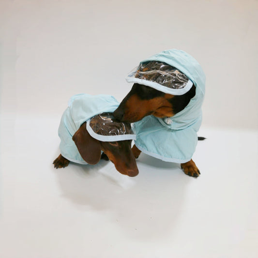 Yumi Dachshund Raincoat with Hood and Transparent Visor