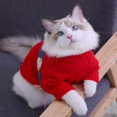 Maglione per Gatti "Pearl" – Comfort, Morbidezza e Stile! ✨
