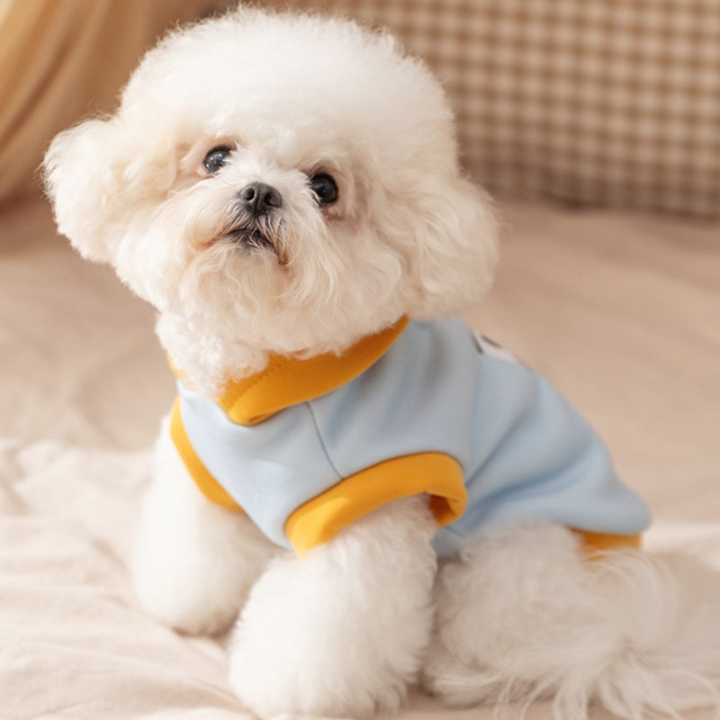 Teddy Bear Hoodie for Dogs and Cats - Warm