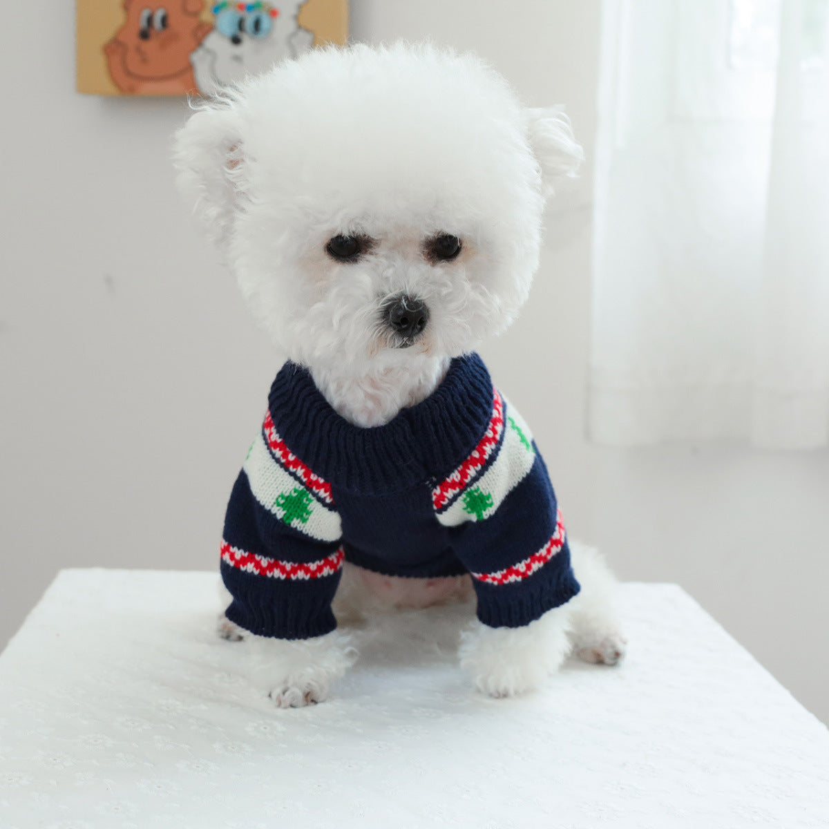 Pull pour chiens brodé - motifs ours, cactus et basketball
