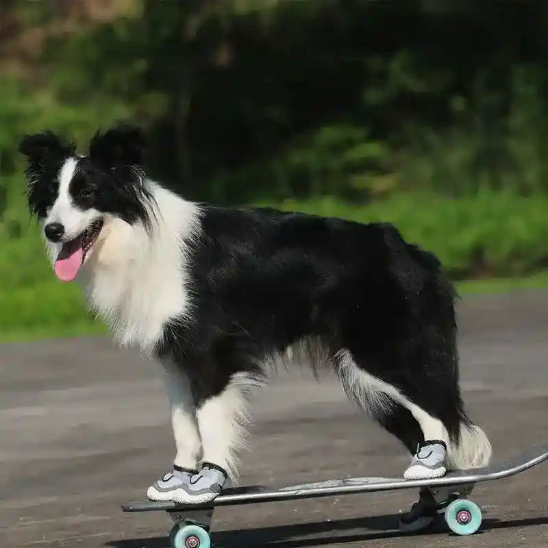Scarpe per Cani Traspiranti - Antiscivolo Riflettenti by Dog Moda