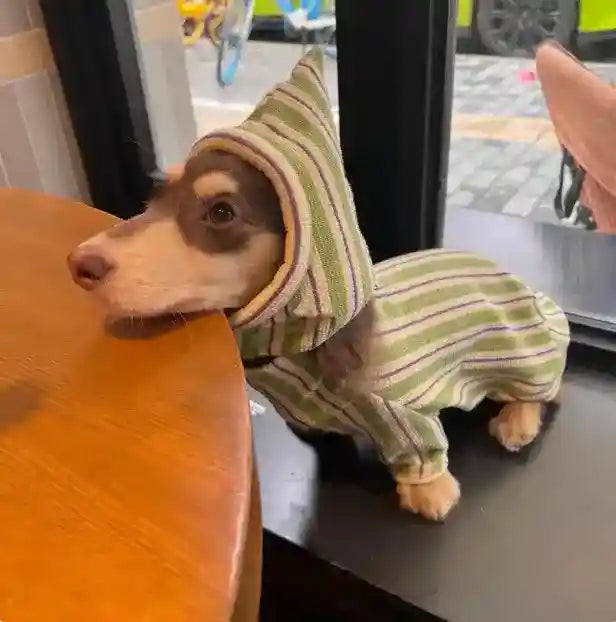 犬用グリーンストライプパッド入りフリース - フード付き