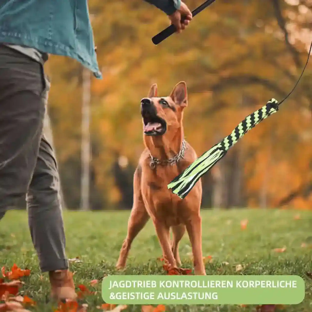 犬用テレスコピックロッド 102cm ロープ ボール ぬいぐるみ