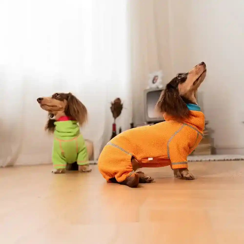 Maglia Bassotto 4 Zampe con Cappuccio - Elasticizzata by Dog Moda