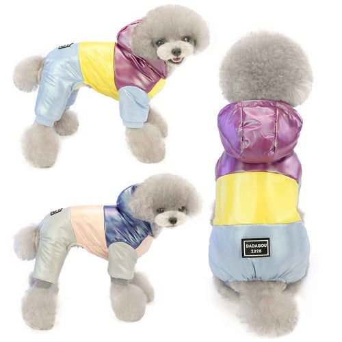 Cappotto per Barboncino Toy "Dadagou" | Eleganza e Comfort a Quattro Zampe by Dog Moda