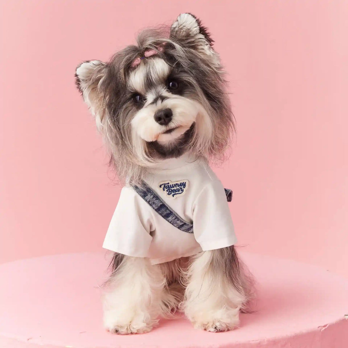 Maglia per Cani Tawney Bear con Ricamo - Vestiti Cani by Dog Moda