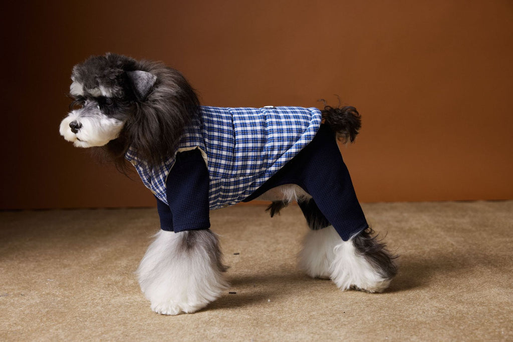 Piumino TNbr per Cani Smanicato - Quadretti Blu e Bianchi