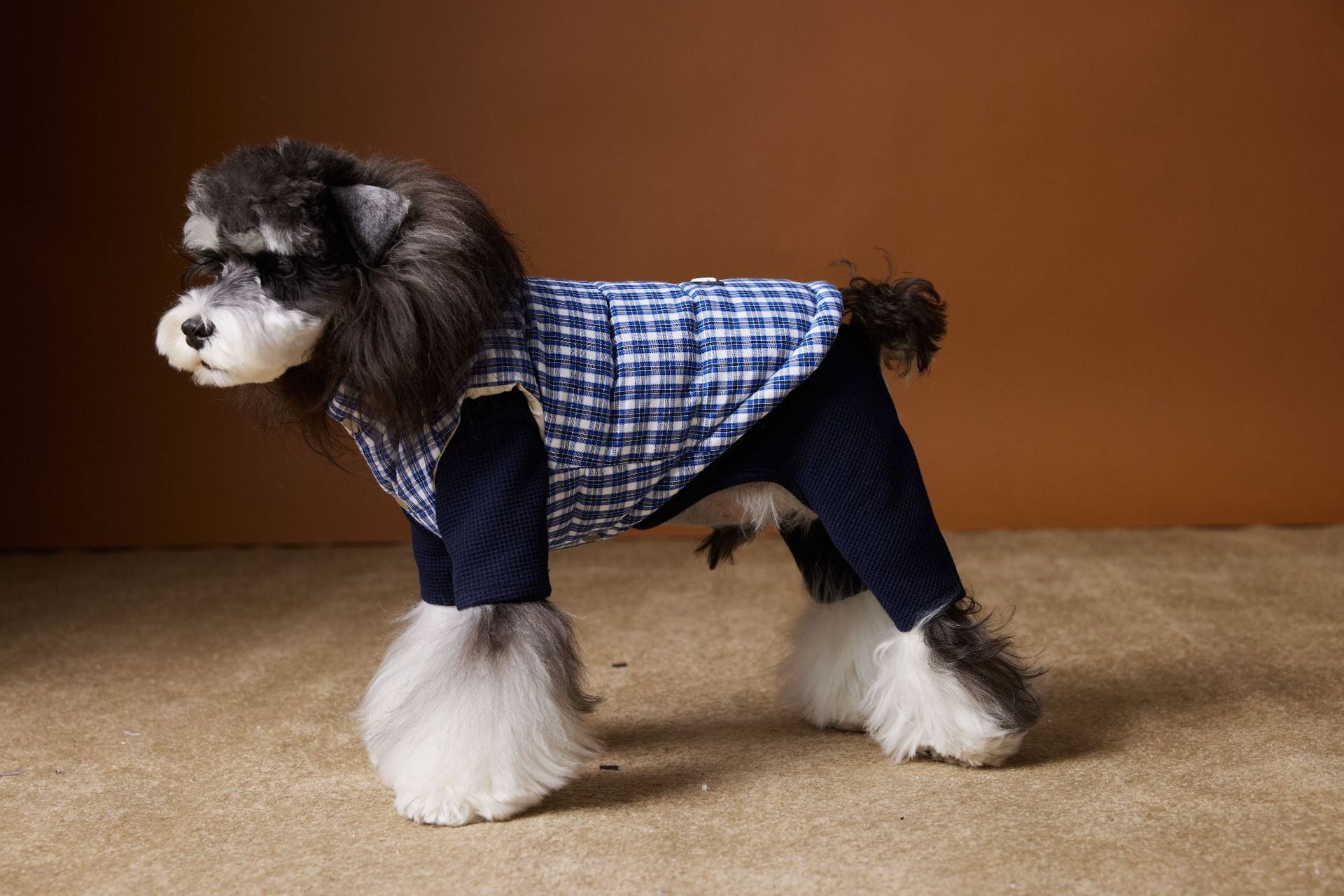 Piumino TNbr per Cani Smanicato - Quadretti Blu e Bianchi