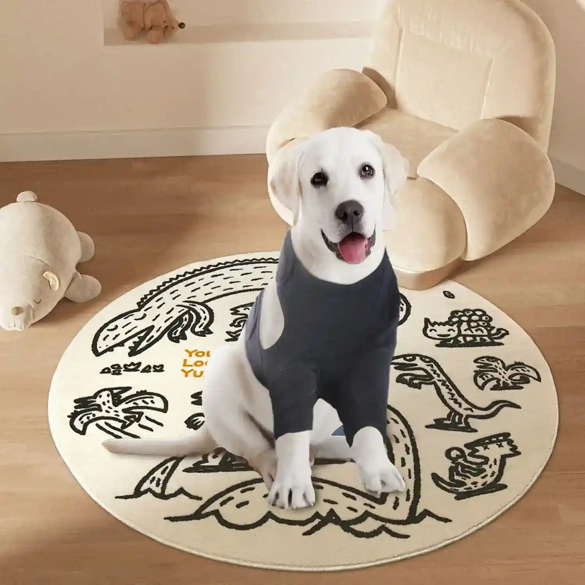 Tutore Zampe Anteriori Cani - Supporto Post Trauma e Prevenzione by Dog Moda