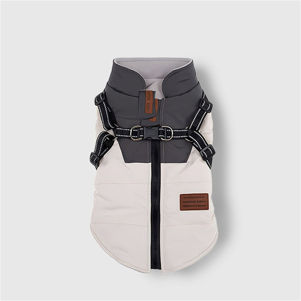 Winter Padded Dog Coat with Harness