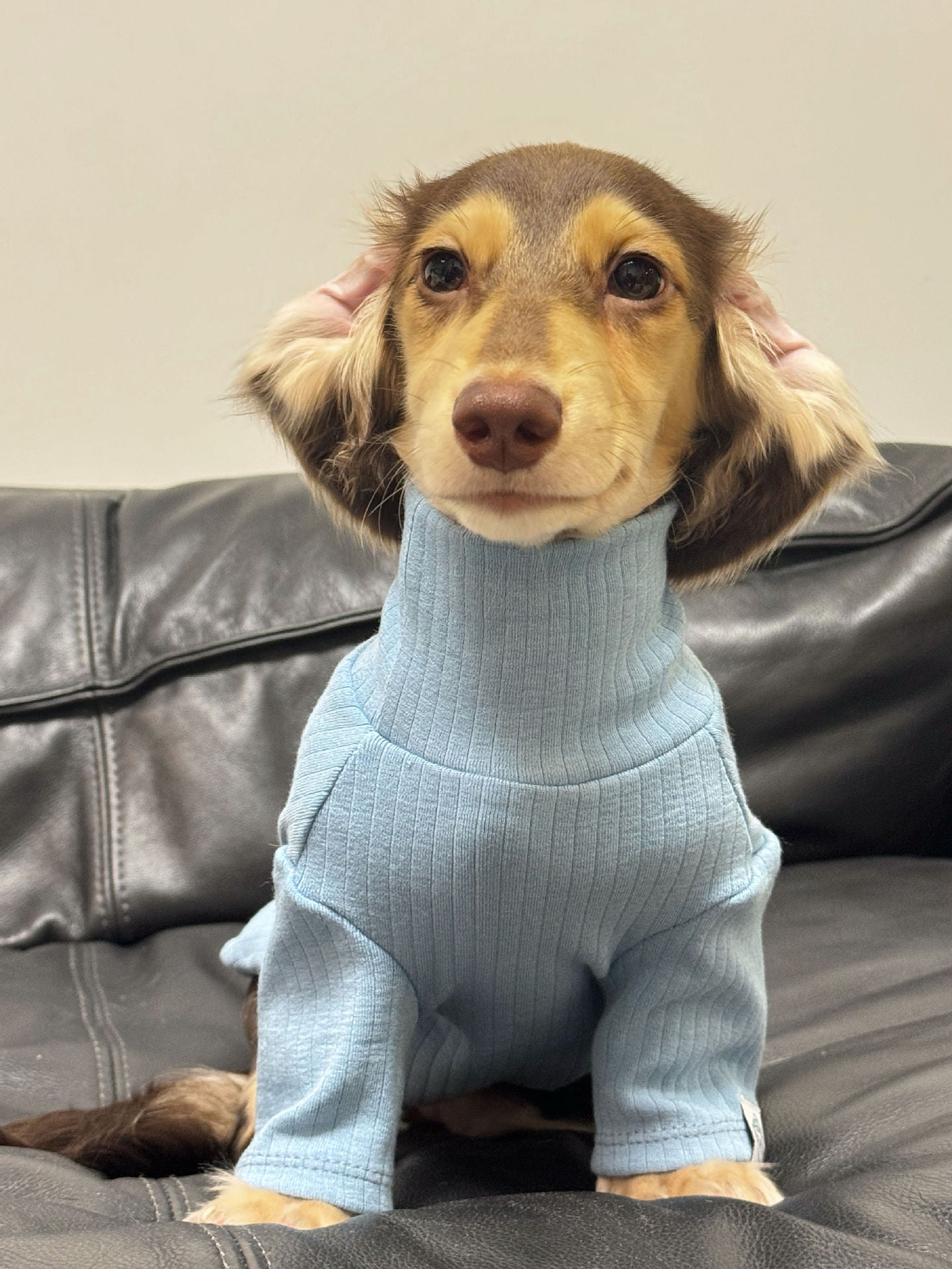 Jersey de Cuello Alto para Perros y Gatos - Algodón Suave Insta-Style