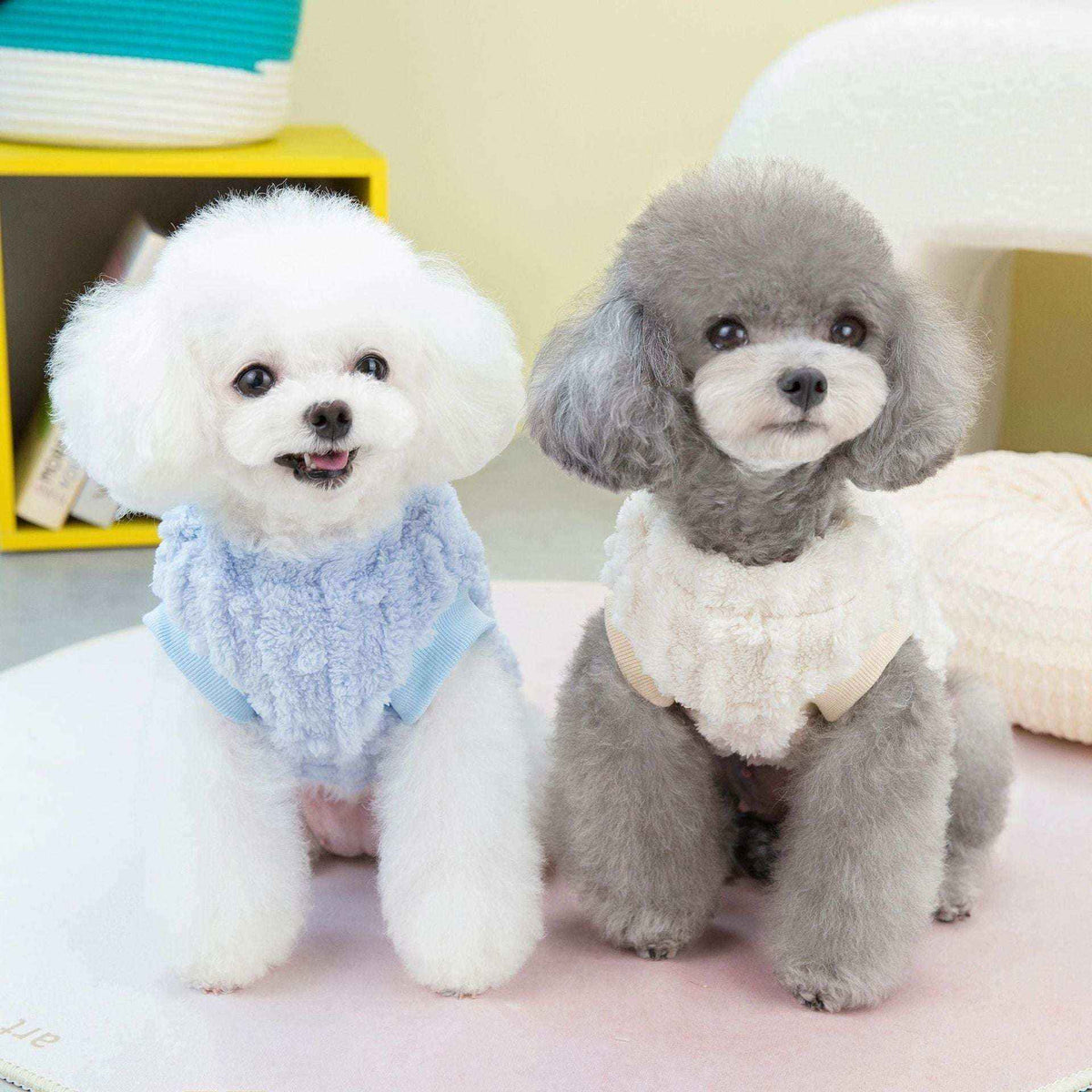 Maglia Coccolosa per Cani con Pettorina e Ricamo Maltese