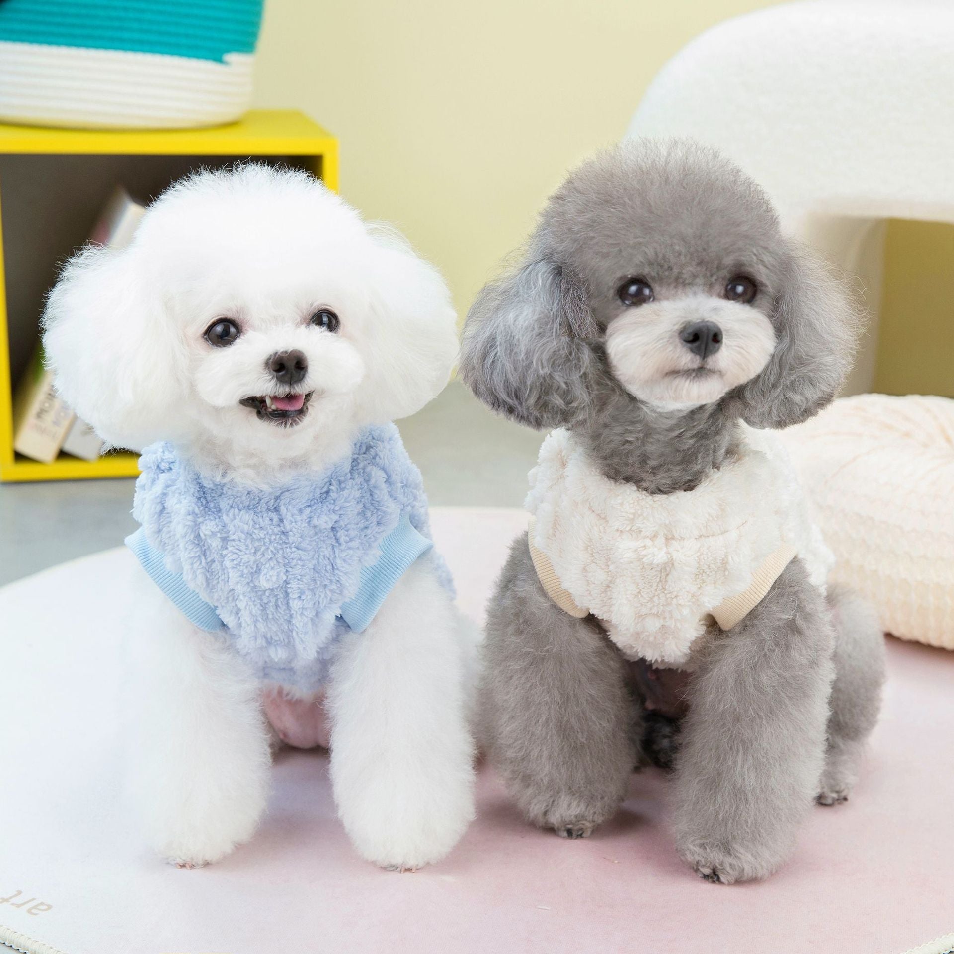 Cuddly Dog Sweater with Harness and Maltese Embroidery