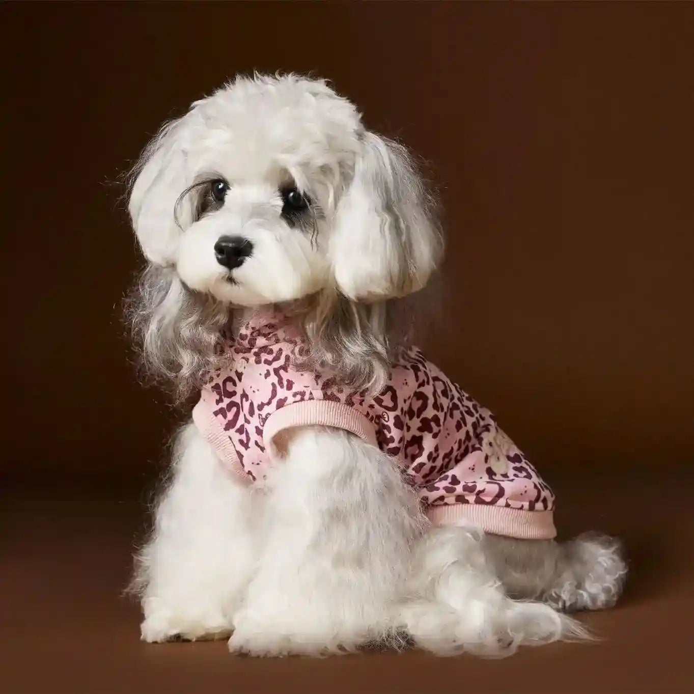 Maglia Tawney Bear Leopardata con Cappuccio - Smanicata by Dog Moda
