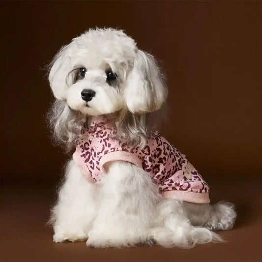 Maglia Tawney Bear Leopardata con Cappuccio - Smanicata by Dog Moda