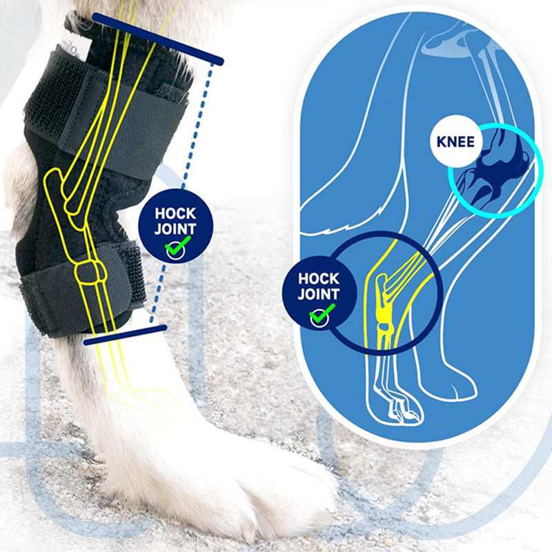 Ginocchiere per Animali Domestici - Supporto per Articolazioni e Recupero Infortuni - Dog Moda