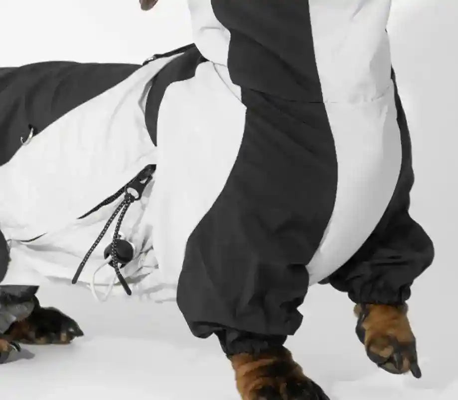 Impermeabile per Bassotto - Protezione Totale 4 Zampe Antipioggia by Dog Moda