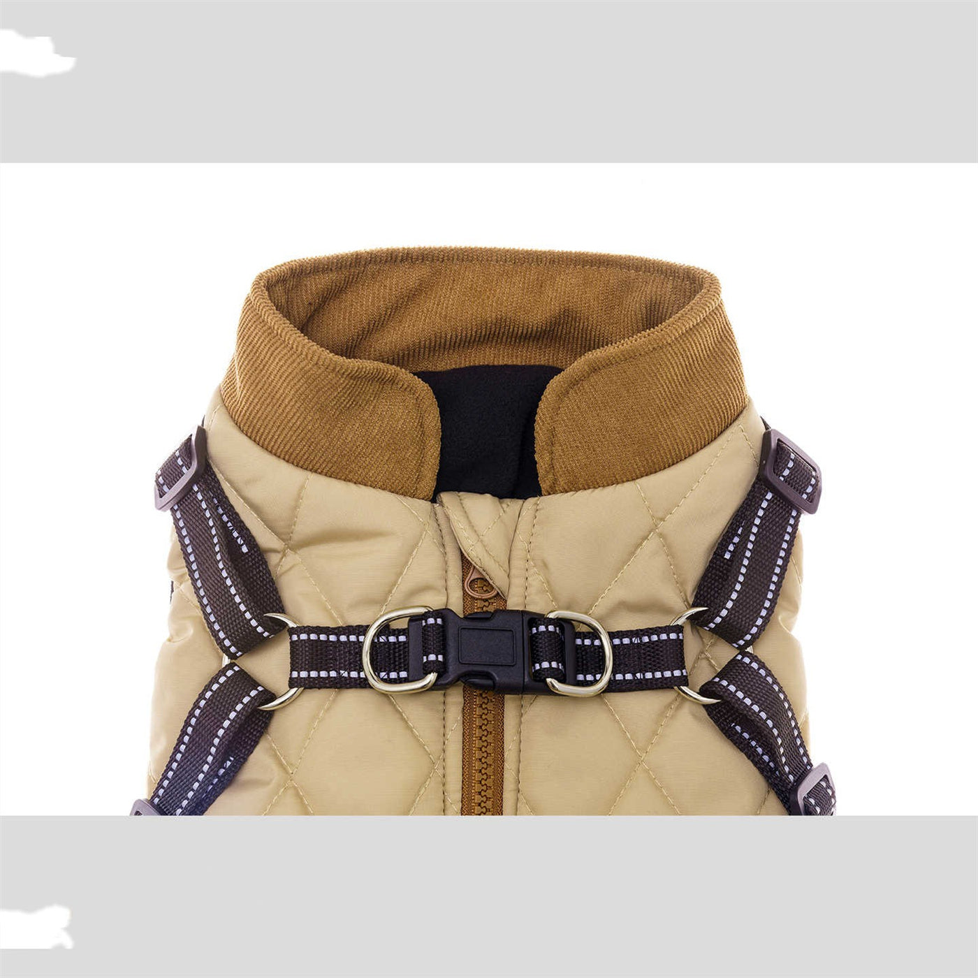 Winter Padded Dog Coat with Harness