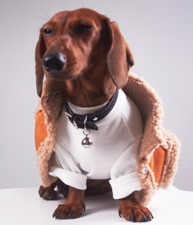 Cappotto Cani Bassotto Waffle Pile Lungo Smanicato