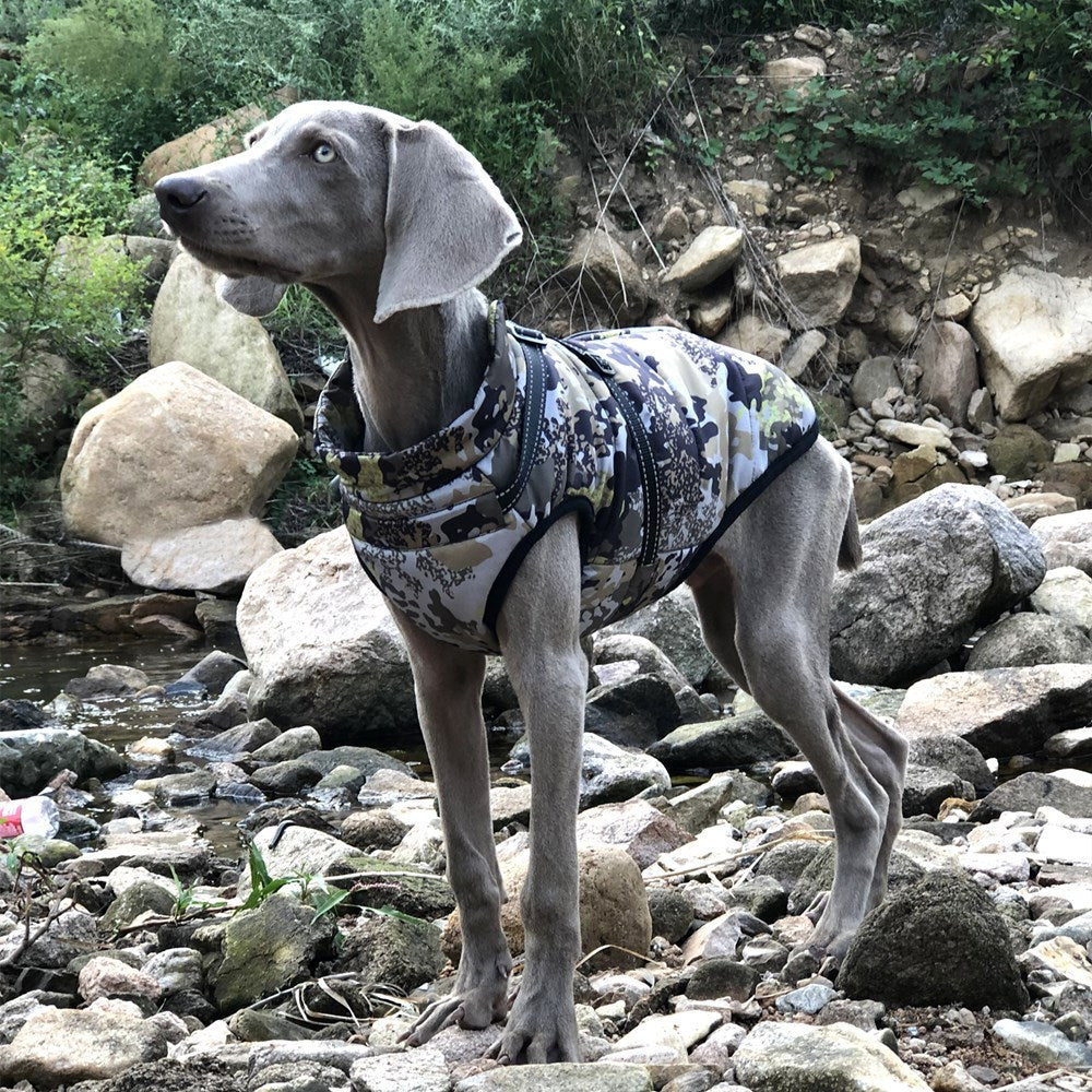 Giacca per cani impermeabile in pile con pettorina integrata "Forest" - Protezione e Stile per il tuo Cane