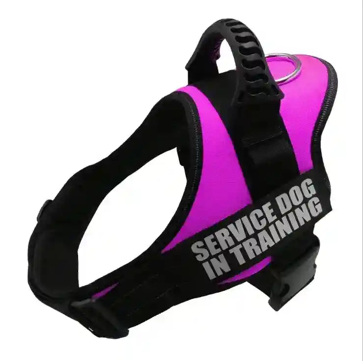 Pettorina Service Dog in Training - Maniglione Gomma by Dog Moda